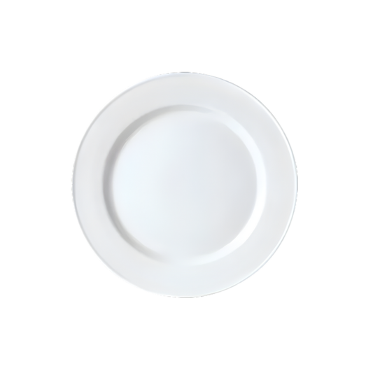 ASSIETTE 11.75" "SLIMLINE SIMPLICITY" STEELITE
